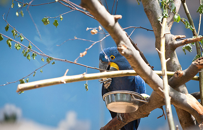 傻瓜式操作的ddos压力测试平台