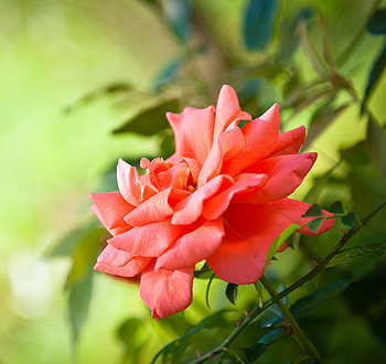 找渠道ddos压力测试平台