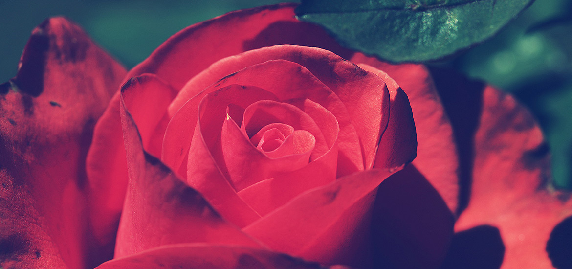 自动化部署的免费ddos防火墙